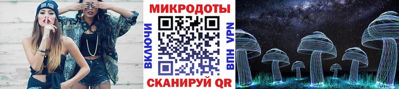 Галлюциногенные грибы Psilocybine cubensis  Княгинино 